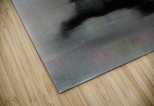 Arabian Stallion Noble Gallery puzzle