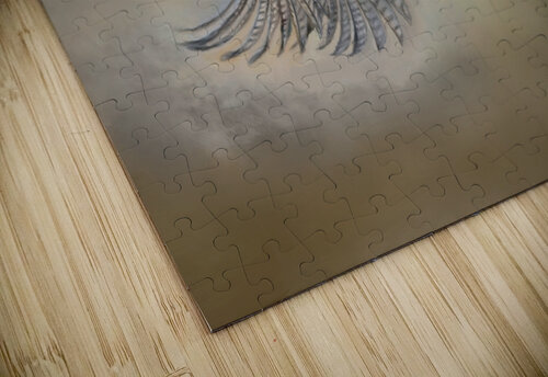Pheasent Noble Gallery puzzle