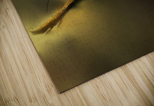 Pheasant Noble Gallery puzzle