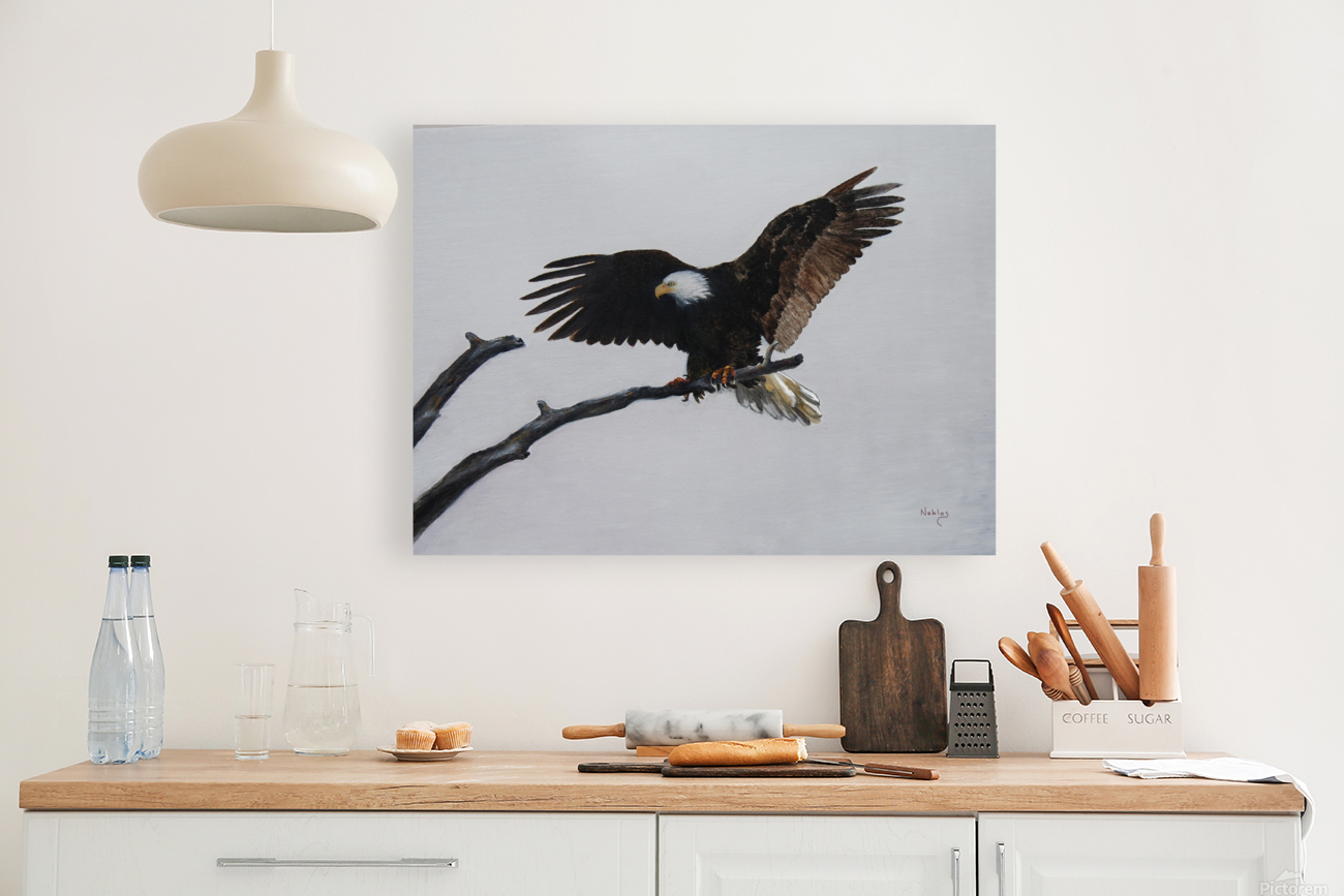 Eagle on Branch Reproduction