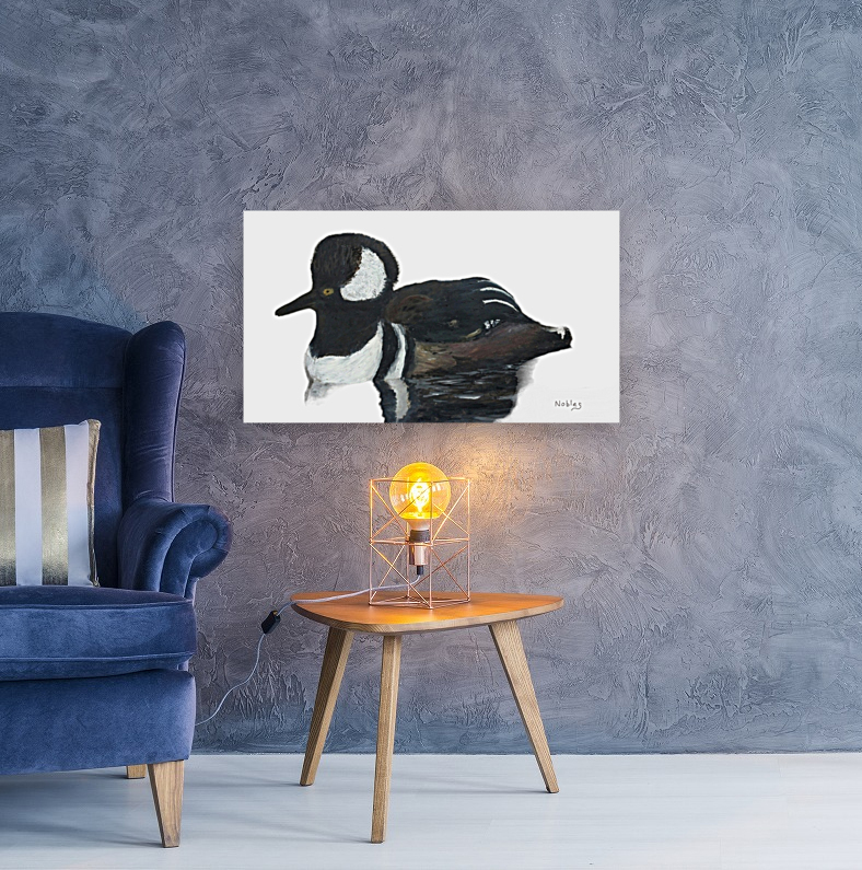  Hooded Merganser   Reproduction