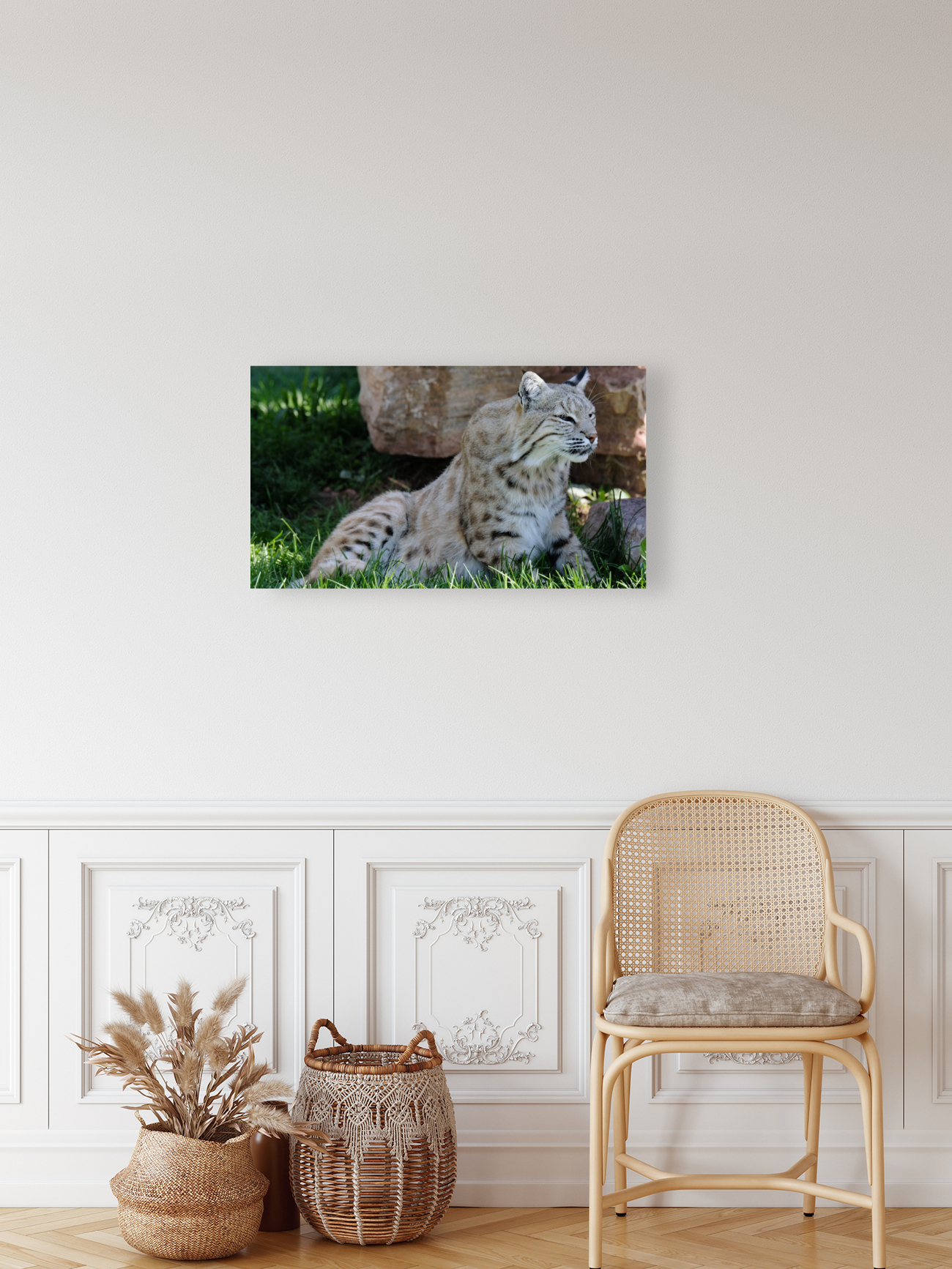 Bobcat Reproduction