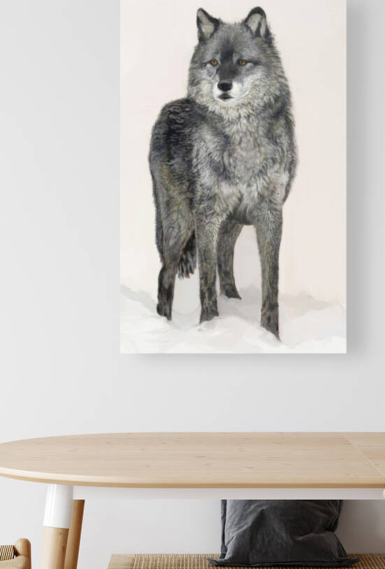 Grey Wolf  Reproduction