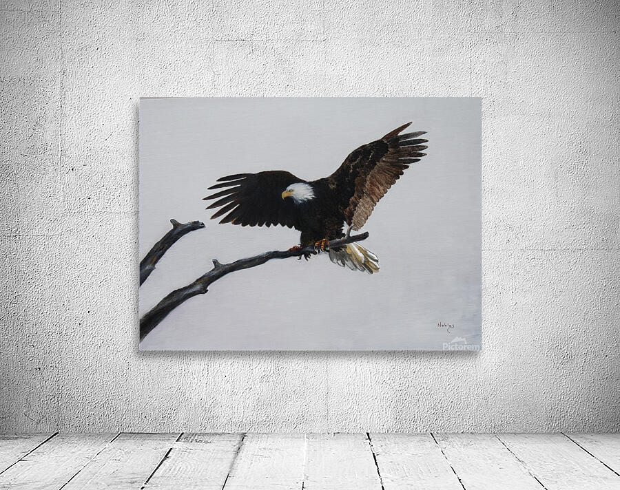 Eagle on Branch Wall Preview