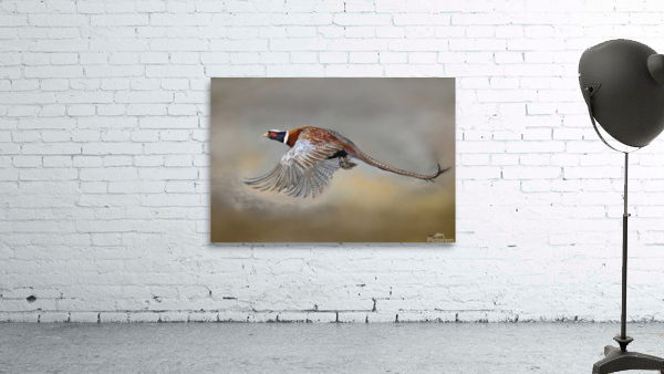 Pheasent Wall Preview