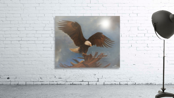 Eagle Wall Preview
