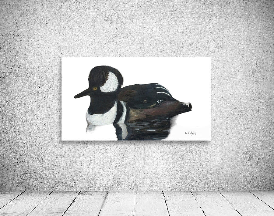  Hooded Merganser   Wall Preview