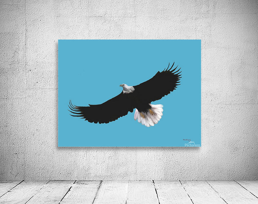 EAGLE IN FLIGHT  Wall Preview