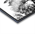 Black and White13 Acrylic print