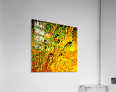 Bubbles Reimagined 47 Acrylic Print