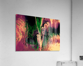 Bubbles Reimagined 41 Acrylic Print