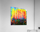 Bubbles Reimagined 12 Acrylic Print