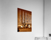 Magnificent Tree Acrylic Print