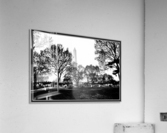 Black and White13 Acrylic Print