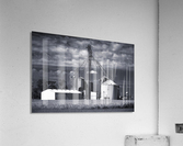 Black and White 21 Acrylic Print