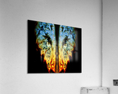 Bubbles Reimagined 96 Acrylic Print