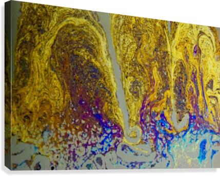 Bubbles Reimagined 82 Canvas Print
