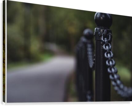 Bubbles Reimagined 78 Canvas Print