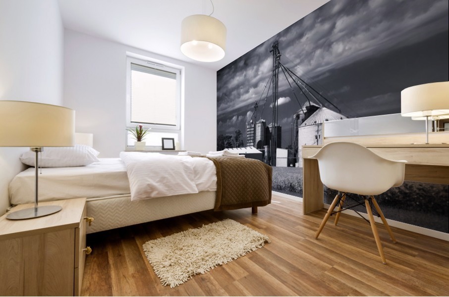 Black and White 21 Mural print