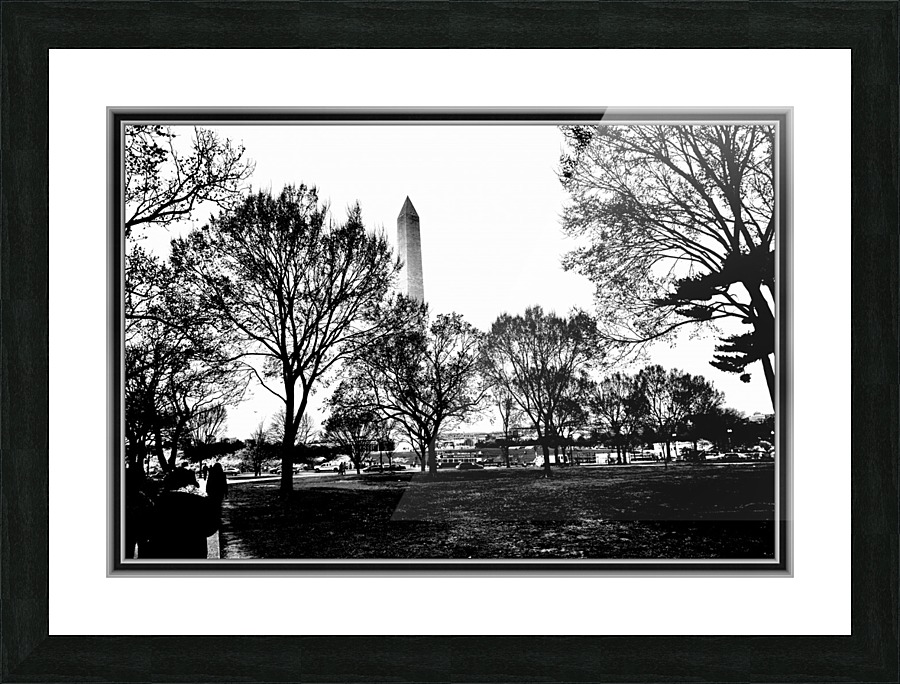 Black and White13 Picture Frame print