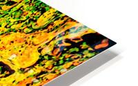 Bubbles Reimagined 47 HD Metal print