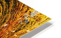 Bubbles Reimagined 28 HD Metal print