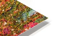 Bubbles Reimagined 77 HD Metal print