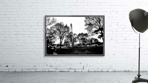 Black and White13 Wall Preview