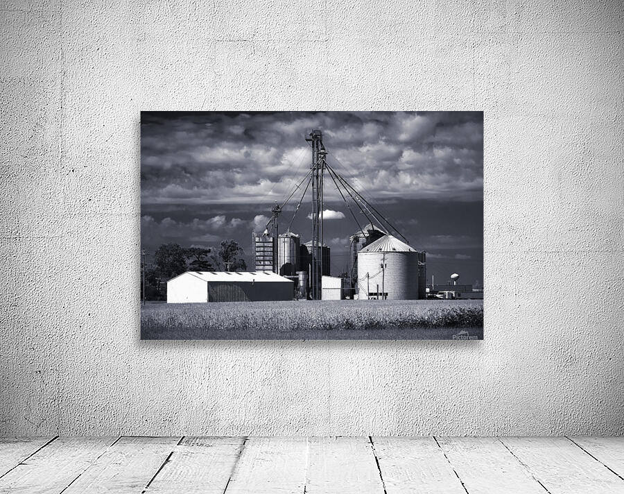 Black and White 21 Wall Preview