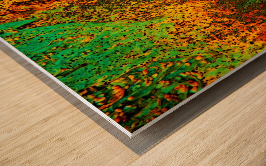 Bubbles Reimagined 38 Wood print