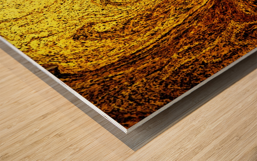 Bubbles Reimagined 14 Wood print