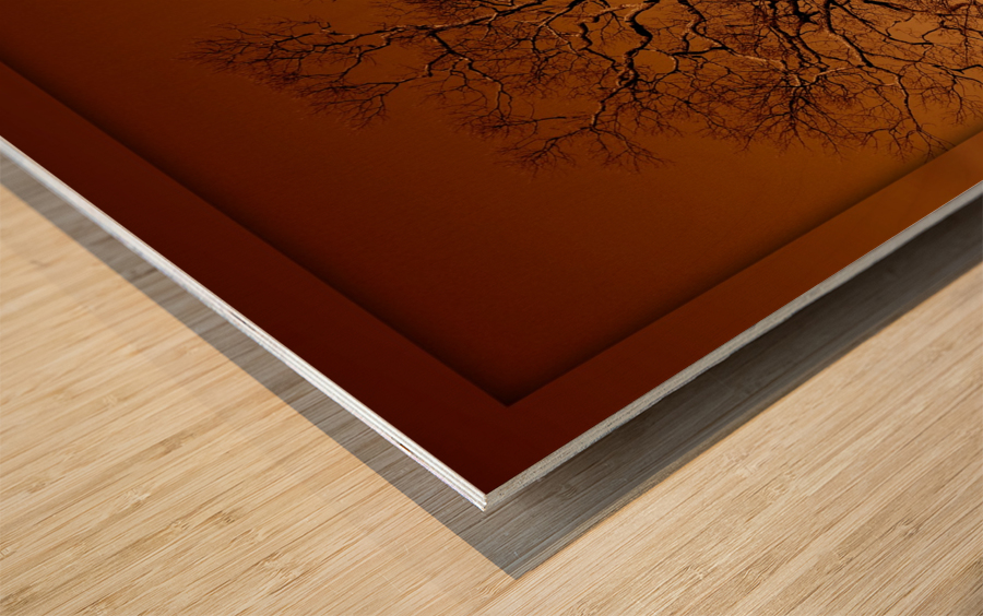 Magnificent Tree Wood print