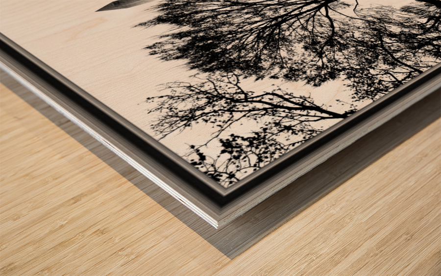 Black and White13 Wood print