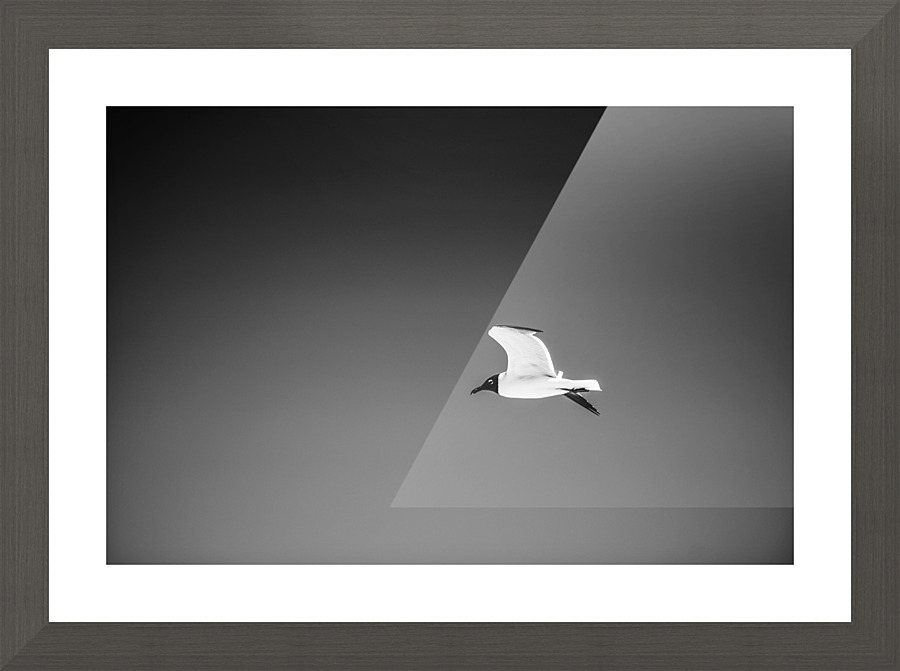 Flying the Flow Picture Frame print