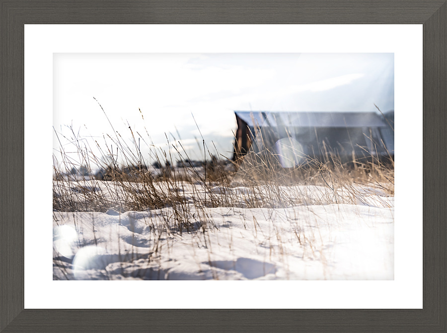 Light Flurry Picture Frame print