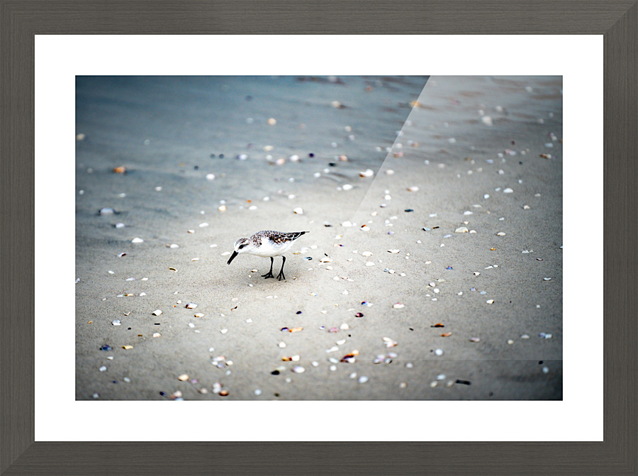 Piper Picture Frame print