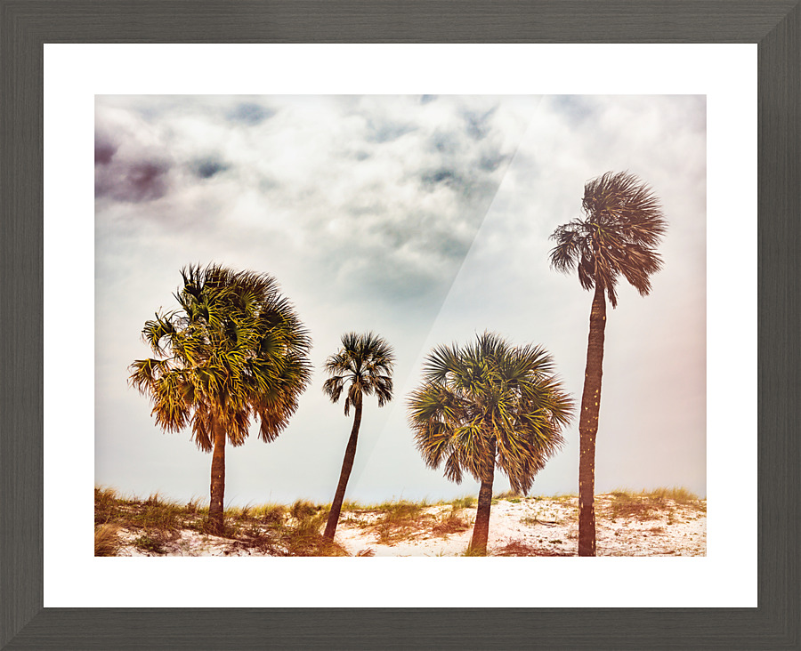 Retro Beach Day Picture Frame print