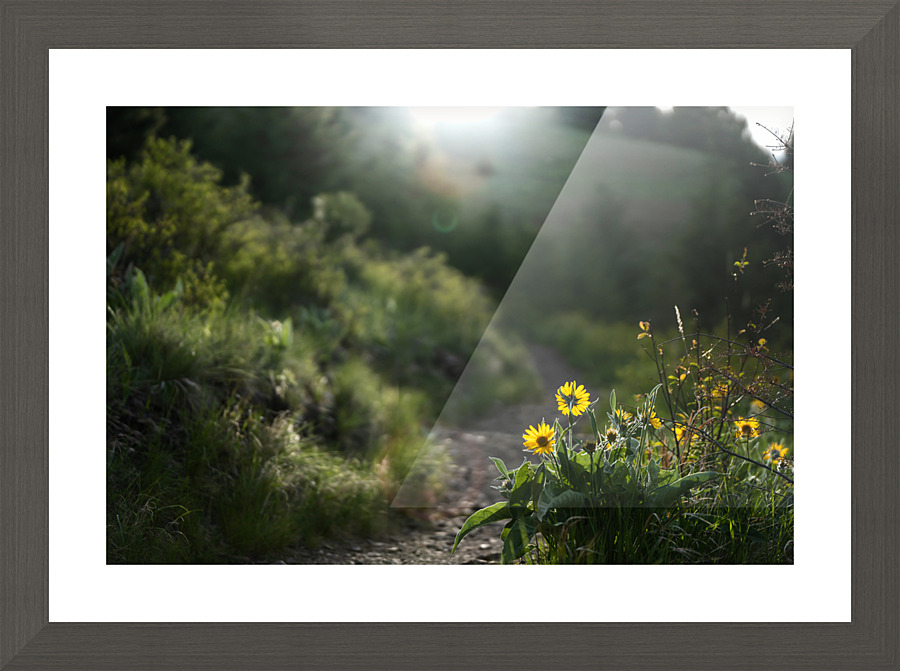 Spring Haven Picture Frame print