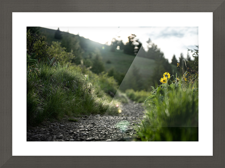 The Trail Picture Frame print
