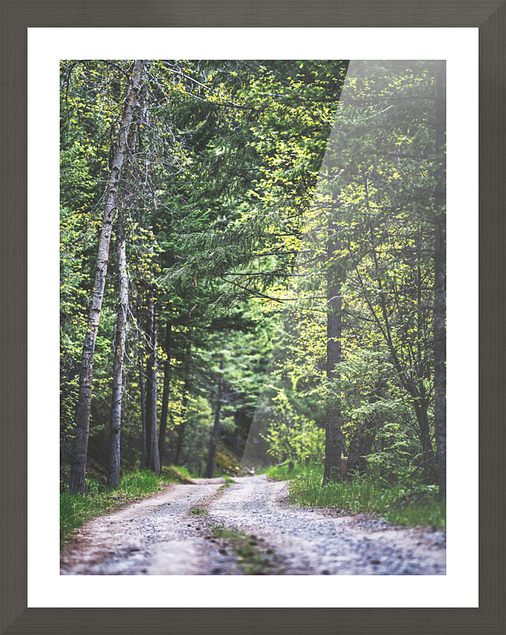 Road to Nowhere Picture Frame print