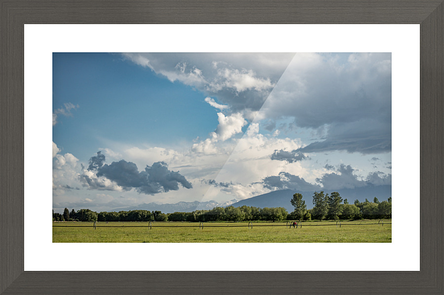 Country Fields Picture Frame print