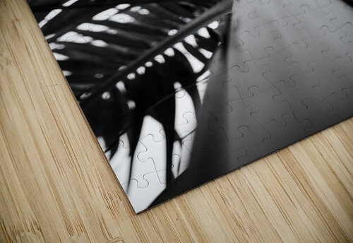 From Below the Palm BW Jeret Lockhart puzzle