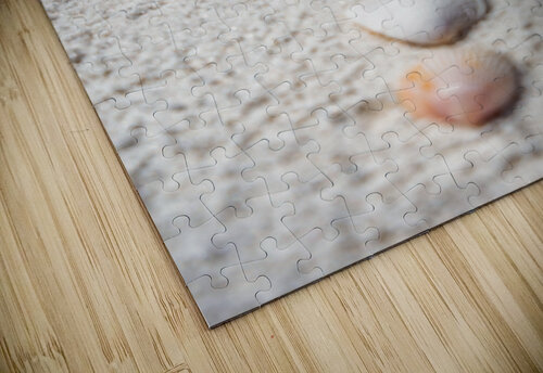 Shell Artistry Jeret Lockhart puzzle