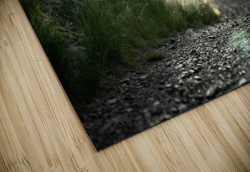 The Trail Jeret Lockhart puzzle