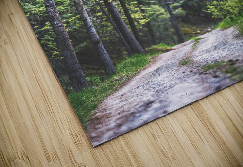Road to Nowhere Jeret Lockhart puzzle
