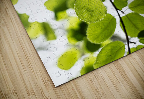 Aspen Glow Jeret Lockhart puzzle