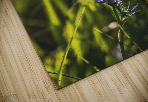 Vintage Camas Jeret Lockhart puzzle