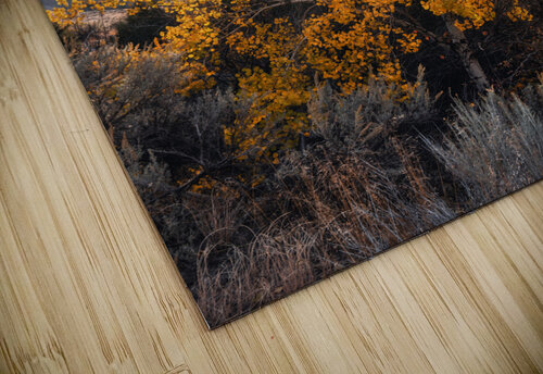 Golden Aspen Jeret Lockhart puzzle