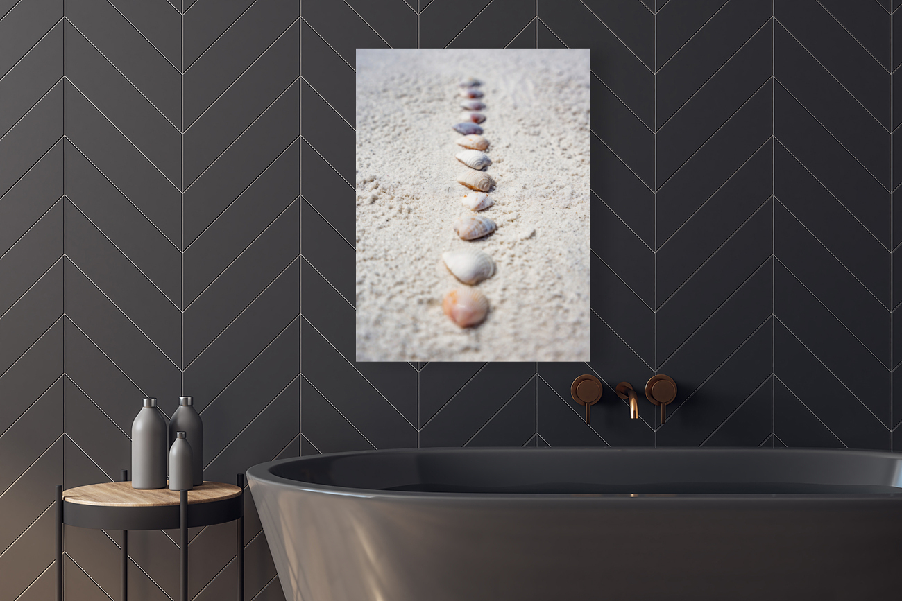 Shell Artistry Reproduction
