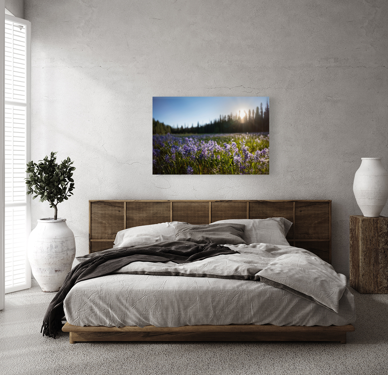 Packer Meadow Reproduction